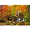 Image de Puzzle 1000 pièces : Automne Magique Castorland