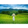 Image de Puzzle 1000 pièces : Rizières au Vietnam Castorland