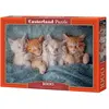 Image de Castorland The Sweetest Kittens Puzzle 1000 pièces (1000 pièces)