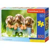 Image de Castorland Cute Dachshunds, puzzle de 100 pièces (100 pièces)