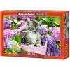 Image de Castorland Puzzle Kitten in Basket 1500 pièces (1500 pièces)