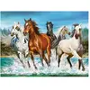Image de Castorland Call of Nature Jigsaw puzzle 2000 pc(s) Animals (2000 pièces)