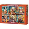 Image de Castorland Puzzle 2000 pieces Choose Your Pet (2000 pièces)