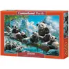 Image de Castorland Puzzle 2000 pieces Pandas' Winter Fun (2000 pièces)
