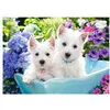 Image de Westie Puppies, Puzzle 200 Teile - Castorland