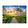 Image de Puzzle 3000 pièces Castorland - Miami, Etats-Unis