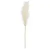 Image de Partydeco Herbe de la Pampa artificielle, crème légère, 15x110cm (1 pkt / 1 pc.) (1 pcs)