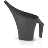 Image de Arrosoir 2L Coubi anthracite IDUKON2-S433 Prosperplast