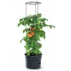 Image de Pot pour pied de tomates 12L Tomato Grower IPOM300-S433