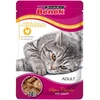 Image de Super Benek Super Chunks 24 x 100 g pour chat - poulet en sauce