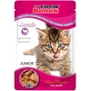Image de Super Benek Super Chunks Kitten 24 x 100 g - agneau en sauce
