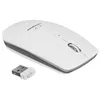 Image de Esperanza EM120W - Souris - optique - 4 boutons - sans fil - 2.4 GHz - récepteur sans fil USB - blanc