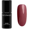 Image de Neonail, Vernis à ongles, Nonail UV Nail Polish 72ml Brown Neutral Varnish Gel (Brown Neutre, Vernis gel UV)