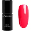 Image de Neonail, Vernis à ongles, Nonail UV Nail Polish 72ml Pink Barbados Party (Pink, Vernis gel UV)