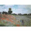 Image de PUZZLE 1000 PCS LES COQUELICOTS