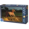 Image de PUZZLE CHEVAL 1000 Pièces