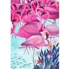 Image de Puzzle 1000 pièces : Andrea Kürti Tropical : Flamands roses DToys