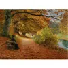 Image de PUZZLE 1000 PCS UN CHEMIN BOISE EN AUTOMNE