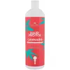 Image de Kallos, Shampoing, Cannabis Pro-Tox pour les cheveux (Shampoing liquide, 1000 ml)