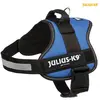 Image de Julius-K9 Harnais Power pour grands chiens ergonomique (0, M, Chien, Sport canin), Collier + laisse