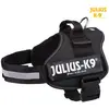 Image de Julius-K9 Le harnais de la puissance (L, Chien, Jogging, Promenade, Sport canin, Travail), Collier + laisse