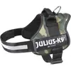 Image de Julius-K9 Harnais Power pour grands chiens ergonomique (1, L, Chien, Général), Collier + laisse