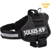 Image de Julius-K9 K9 Harnais nylon (2, L, XL, Chien, Général), Collier + laisse