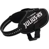 Image de Julius-K9 IDC Harnais Power bébé (XS, Chien, Général), Collier + laisse