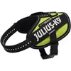 Image de Julius-K9 IDC Geschirr für kleinere Hunde ergonomisch (XS, Chien, Général), Collier + laisse