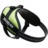 Image de Julius-K9 IDC Harnais ergonomique pour petits chiens (M, Chien, Général), Collier + laisse