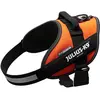 Image de Julius-K9 Harnais IDC pour chiens de grande taille ergonomique (M, Chien, Général, Promenade, Sport canin, Vélo), Collier + laisse