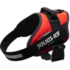 Image de Julius-K9 IDC Power harnais taille 1 : tour de poitrine 63 - 85 cm (1, Chien, Général), Collier + laisse