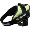 Image de Julius-K9 Vaisselle IDC (1, M, Chien, Général), Collier + laisse