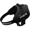 Image de Julius-K9 IDC Harnais de puissance 4/XL (XXL, Chien, Travail), Collier + laisse