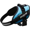 Image de Julius-K9 IDC-Powergeschirr aquamarine Taille : Tour de poitrine (Chien, Promenade), Collier + laisse