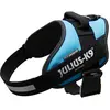 Image de Julius-K9 IDC-Powergeschirr aquamarine Taille 1 : Tour de poitrine 63-85 cm (1, Chien, Général, Promenade, Sport canin), Collier + laisse