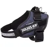 Image de Julius K9 IDC Harnais pour chiens Denim Taille 0 14845