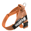Image de Julius-K9 IDC® Color & Grey harnais, orange/gris Gr. M/0 : tour de poitrine 58-76cm pour les chien