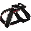 Image de Julius-K9 K9 Speed harness, Size : M, red (M, Chien, Sport canin), Collier + laisse