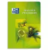 Image de Lot de 10 Cahiers travaux pratiques ESSENTIAL piqûre, 40 pages Seyès + 40 pages unies, Format 24 x 32 cm. Couverture carte