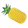 Image de Matelas Ananas - Jilong