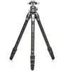 Image de Benro TTOR14CGX25 Kit tortue (Carbone), Trépied, Noir