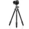 Image de Benro TTOR24CGX30 Kit tortue (Carbone), Trépied, Noir
