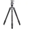 Image de Benro trikojis Rhino 24C + VX25 (Carbone), Trépied