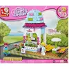 Image de Jeu de construction SLUBAN Elements Girls Dream Series Glacier