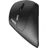 Image de Rapoo EV250 Maus droit RF optique sans fil 1600 DPI (Sans fil), Souris, Noir