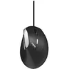 Image de Rapoo EV200