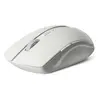 Image de Rapoo Souris Sans Fil 18043