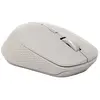 Image de Rapoo Souris Sans Fil M300 1600 Dpi