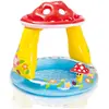 Image de Intex Champignon